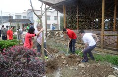 我公司赴英德石下村開展義務植樹活動